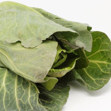 Kapusta głowiasta biała stożkowa de Chateaurenard Bio