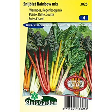 Burak liściowy Rainbow mix