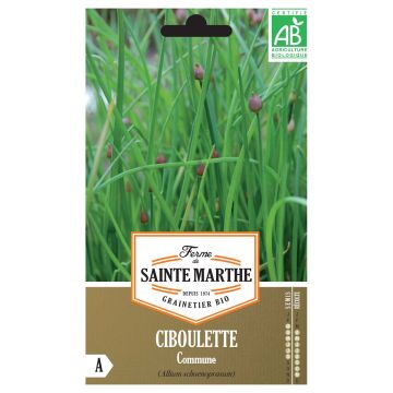 Szczypiorek Bio - Ferme de Sainte Marthe
