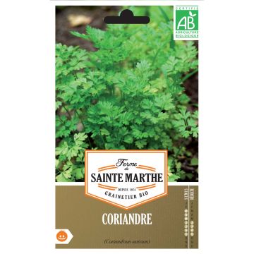 Kolendra siewna Bio - Ferme de Sainte Marthe
