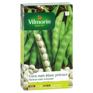 Fasola karłowa na suche - Vilmorin