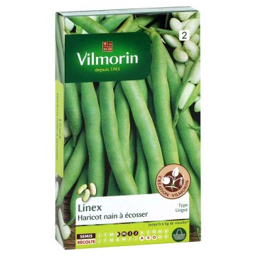 Fasola karłowa na suche Linex - Vilmorin