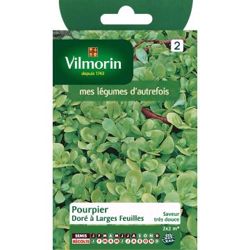 Portulaka warzywna złocista - Vilmorin