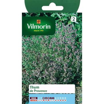 Tymianek prowansalski - Vilmorin