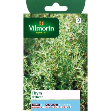 Tymianek zimowy - Vilmorin