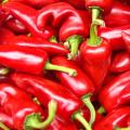 Nasiona papryki chili