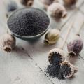 Nasiona kwiatów bio
