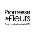 Nasiona warzywne promesse de fleurs